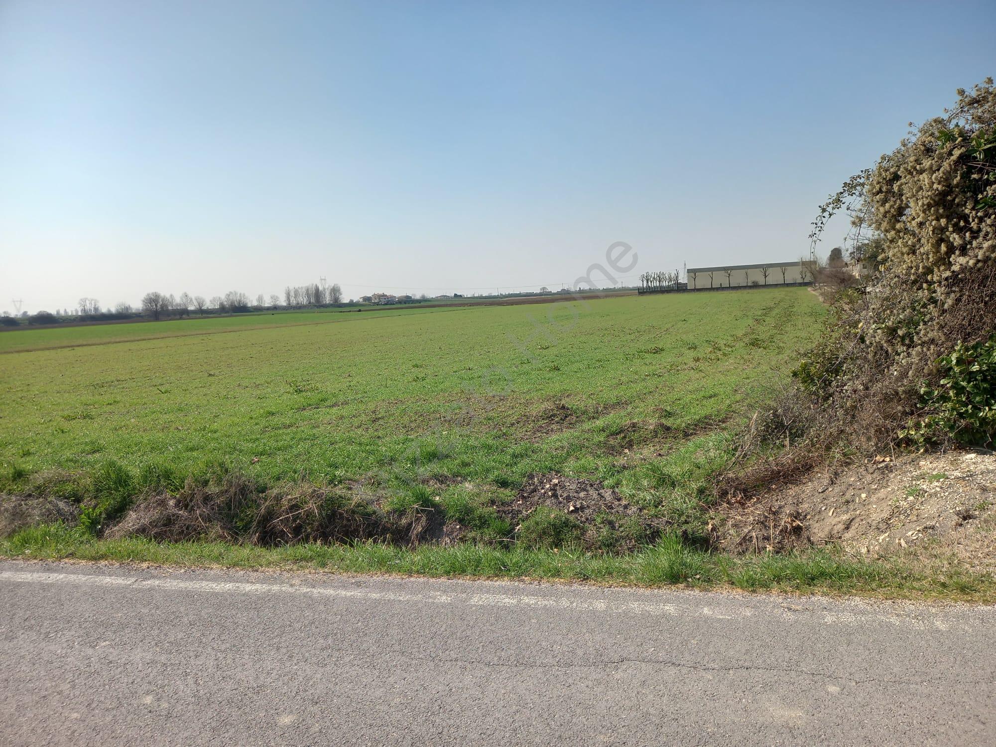 Terreno agricolo in vendita a Lovertino (VI)